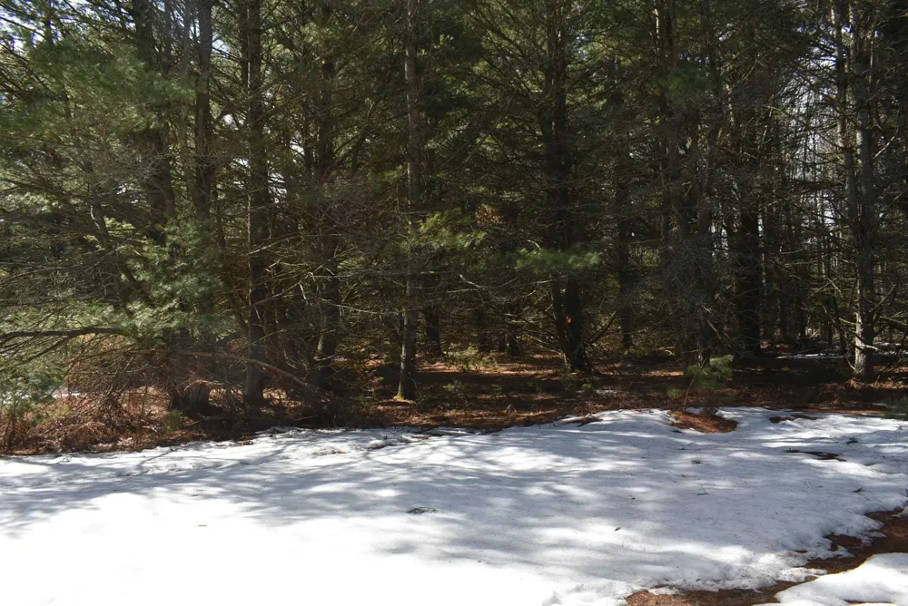 Roop Road Paradise Township, MI 49649