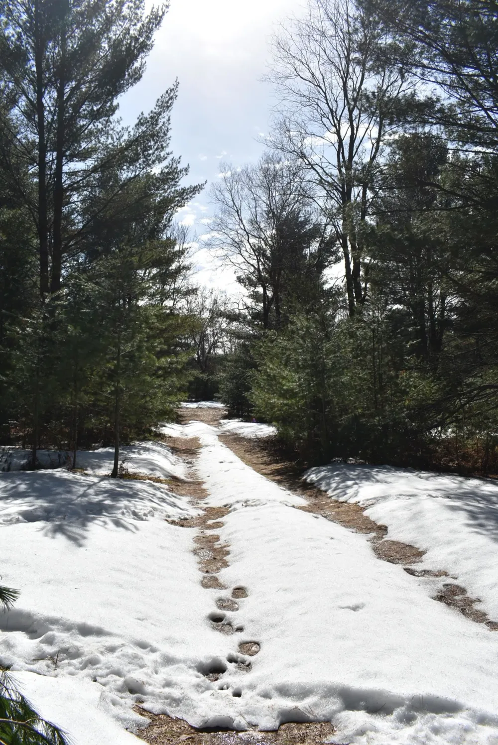 Roop Road Paradise Township, MI 49649