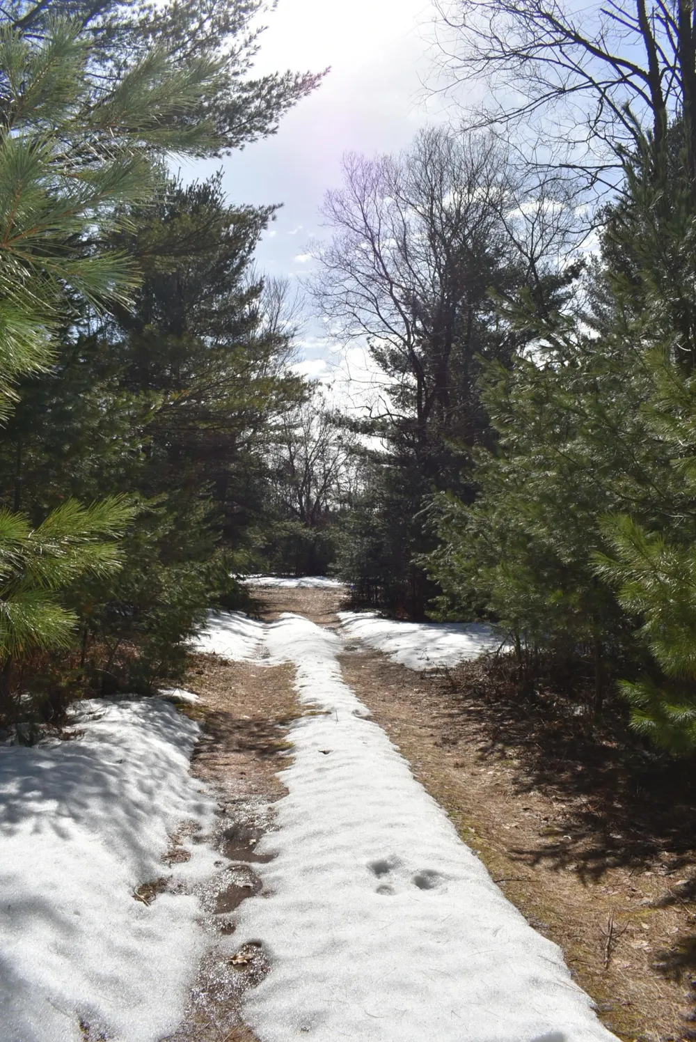Roop Road Paradise Township, MI 49649