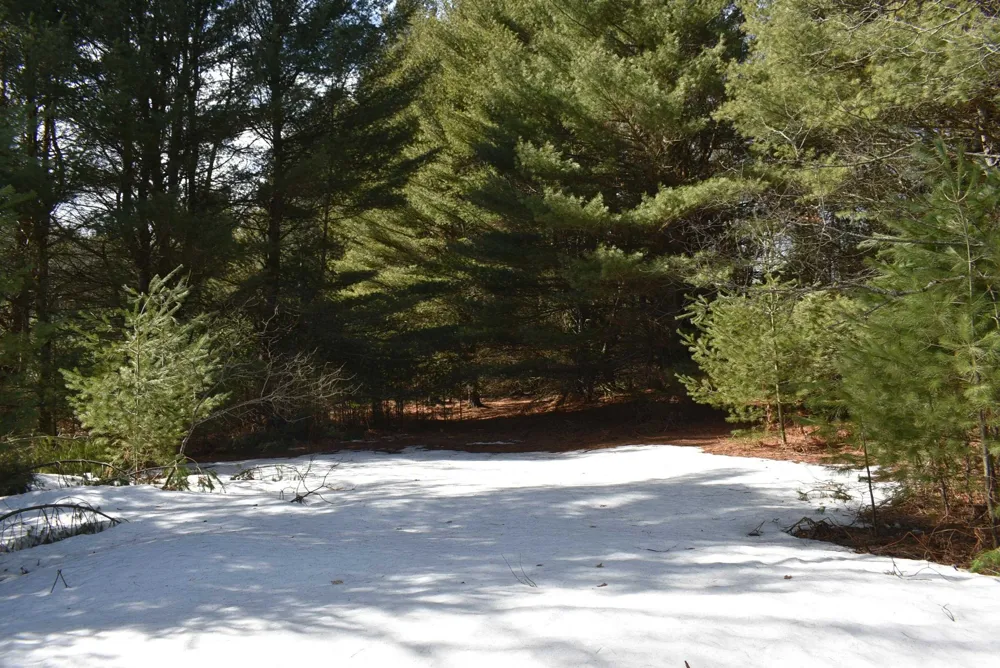Roop Road Paradise Township, MI 49649