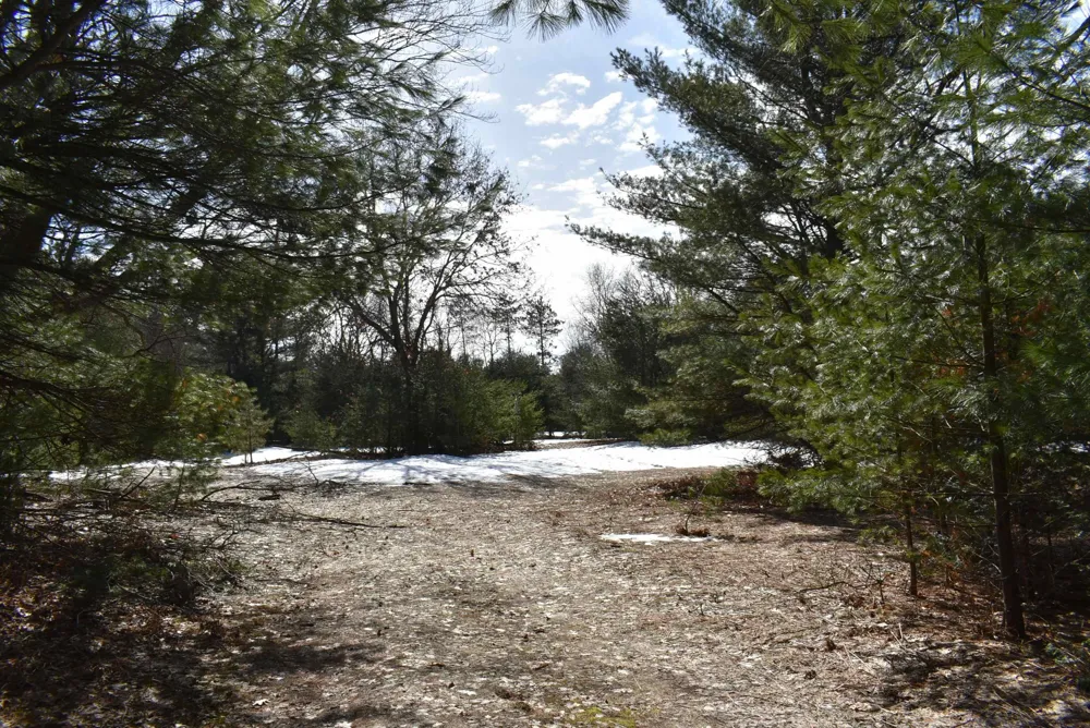 Roop Road Paradise Township, MI 49649
