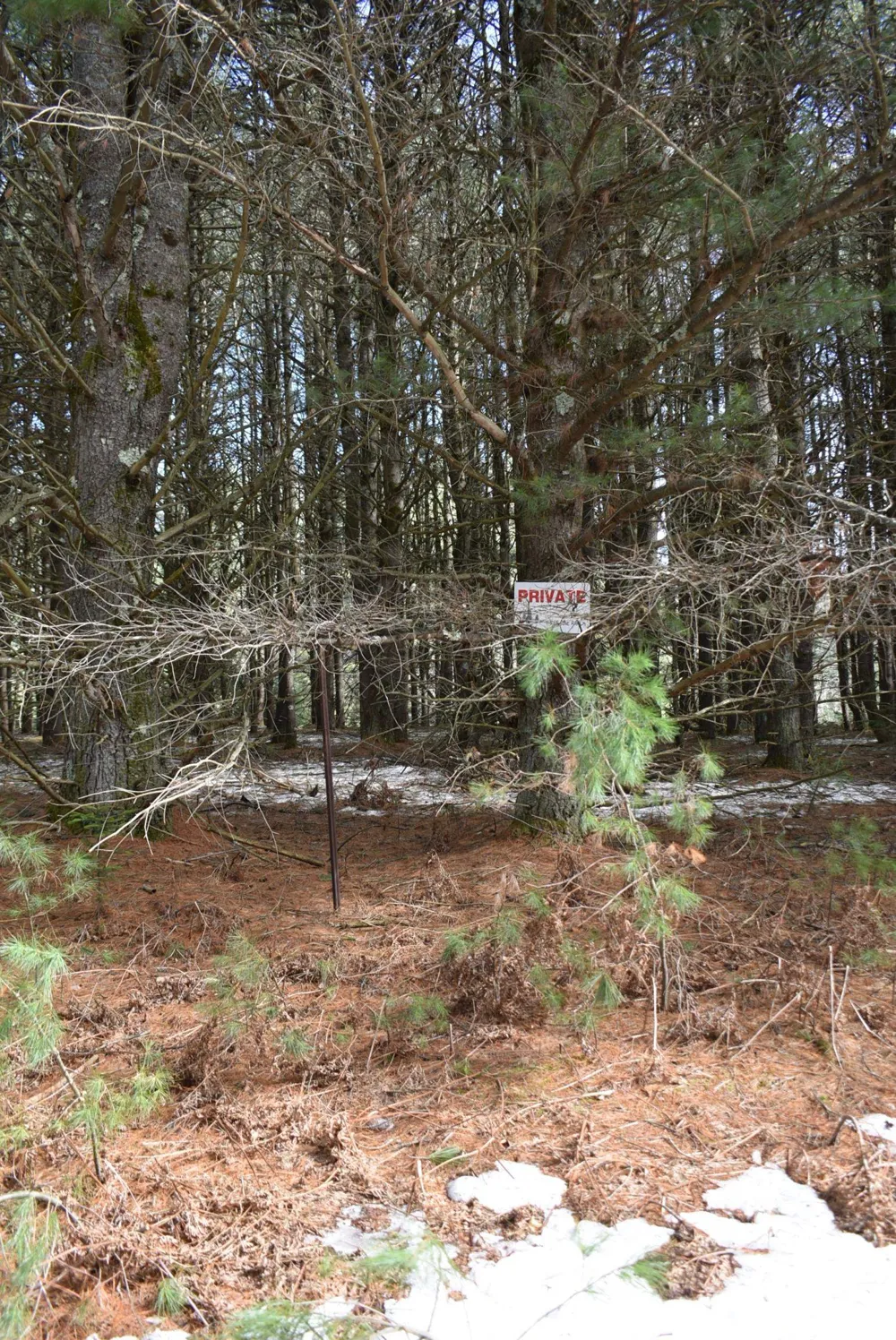 Roop Road Paradise Township, MI 49649