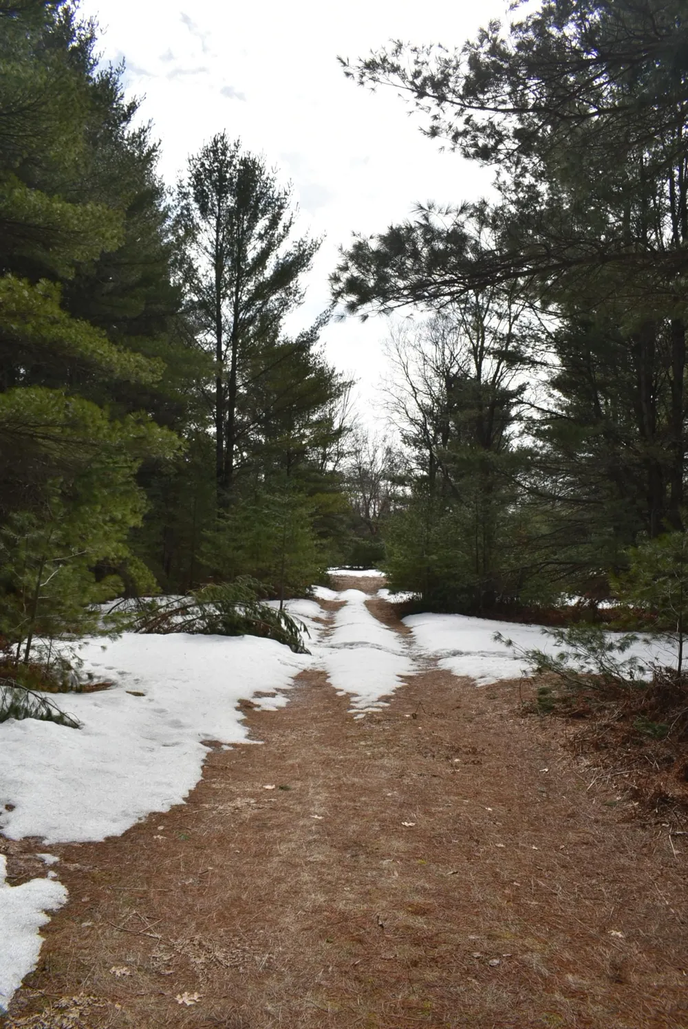 Roop Road Paradise Township, MI 49649