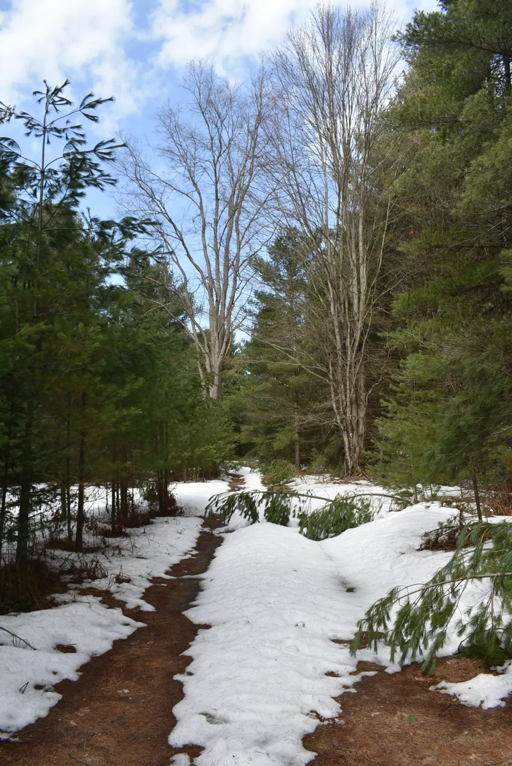 Roop Road Paradise Township, MI 49649