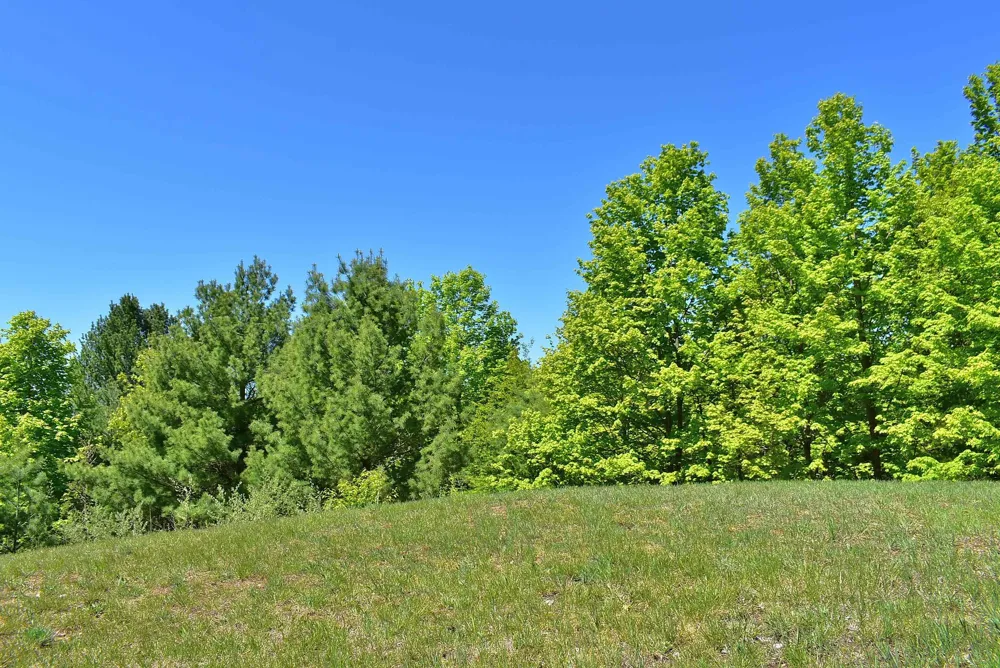 570 Michael Avenue Blair Township, MI 49685