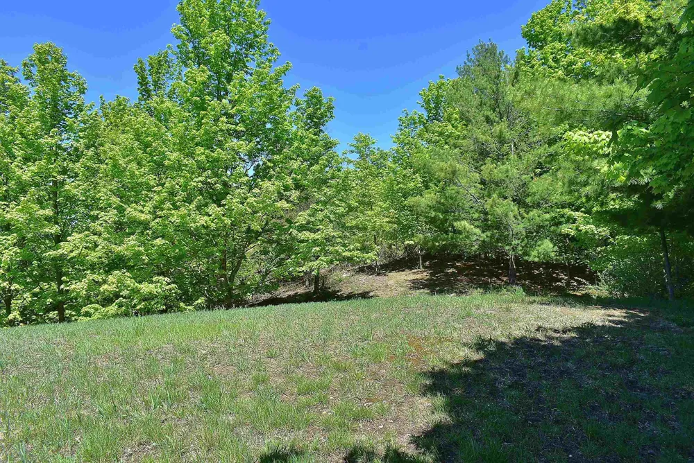 570 Michael Avenue Blair Township, MI 49685