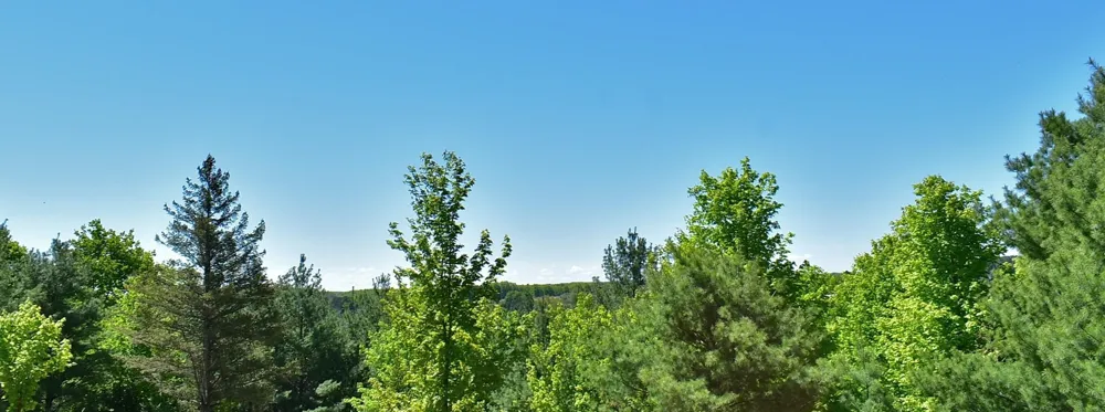 570 Michael Avenue Blair Township, MI 49685