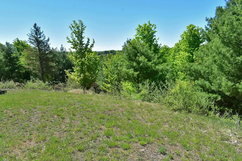 570 Michael Avenue Blair Township, MI 49685