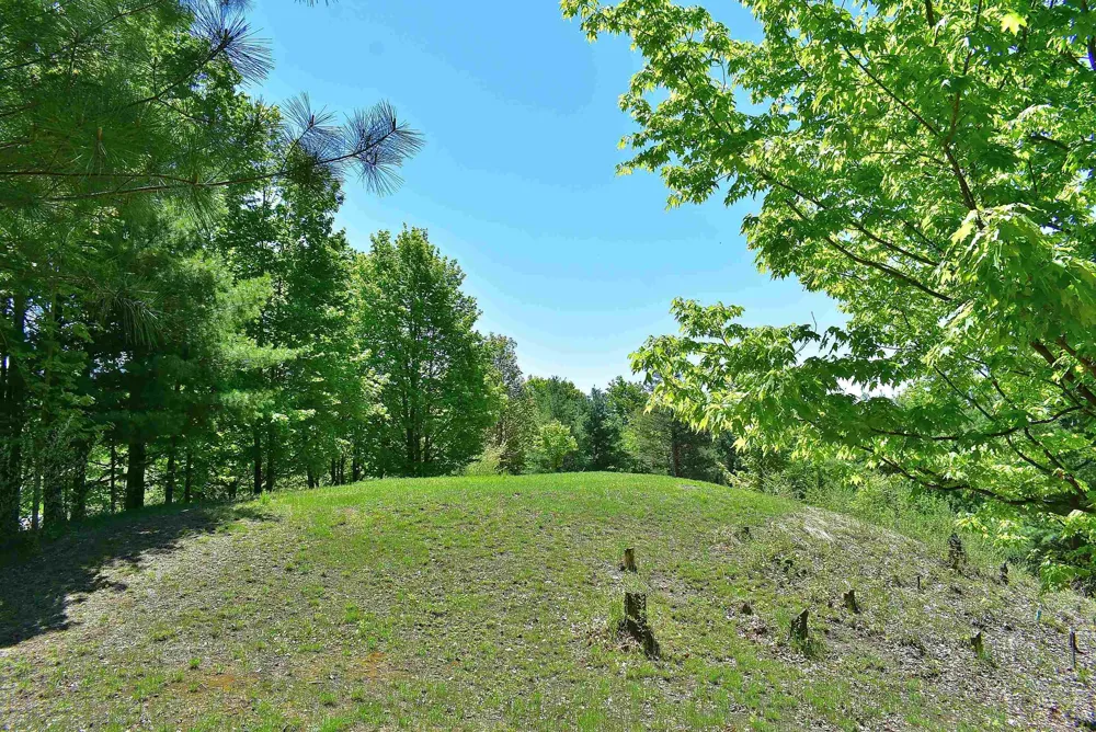 570 Michael Avenue Blair Township, MI 49685