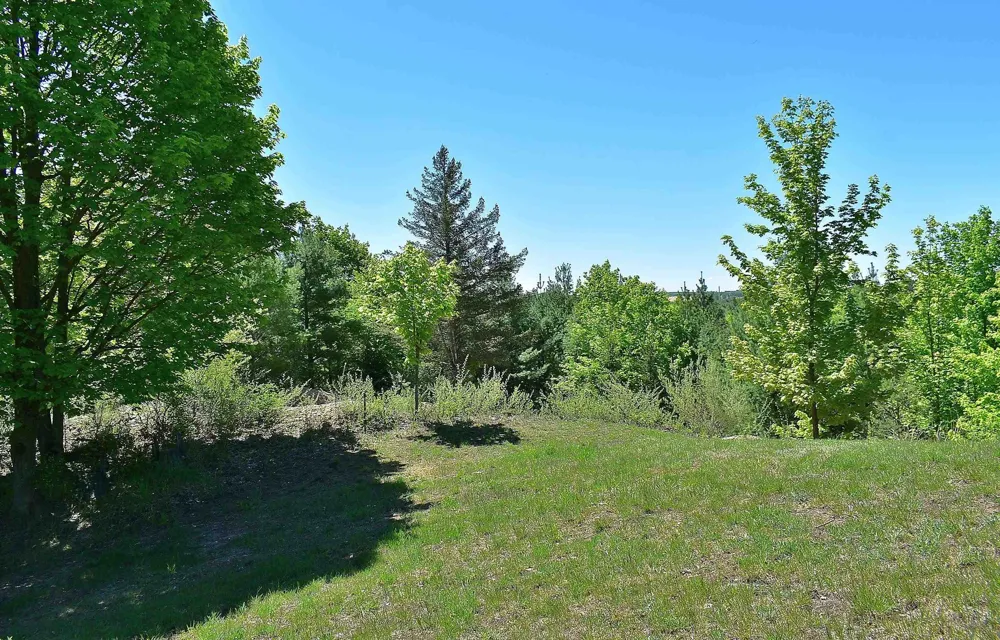 570 Michael Avenue Blair Township, MI 49685