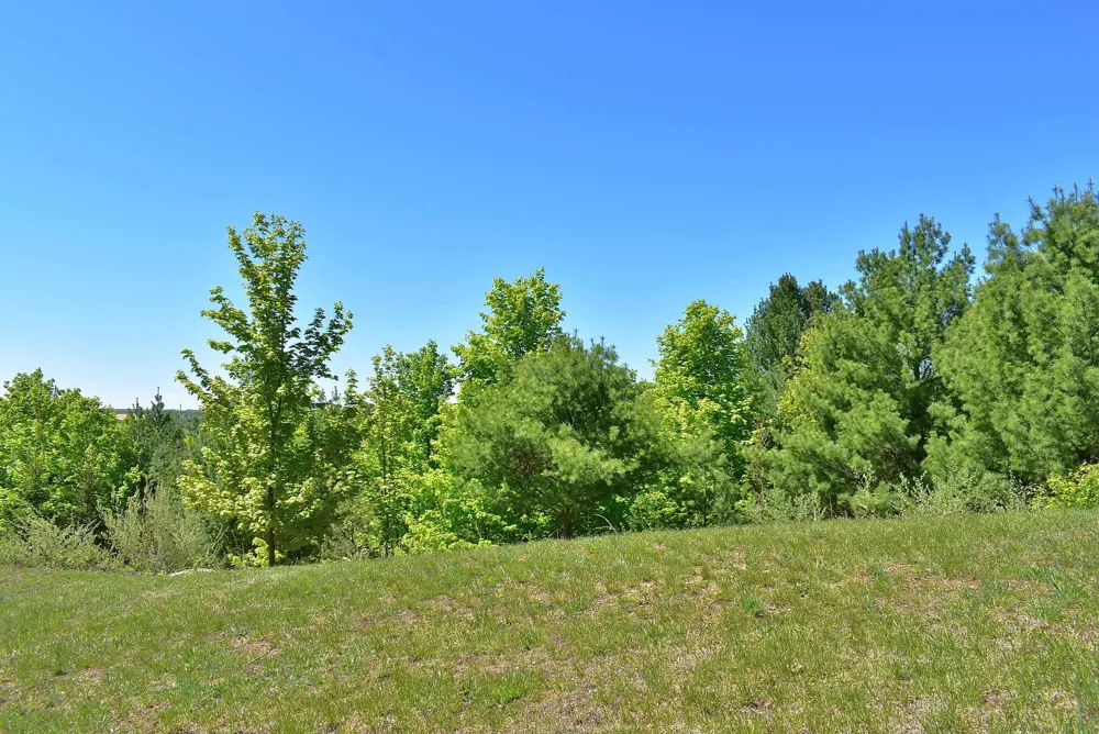570 Michael Avenue Blair Township, MI 49685