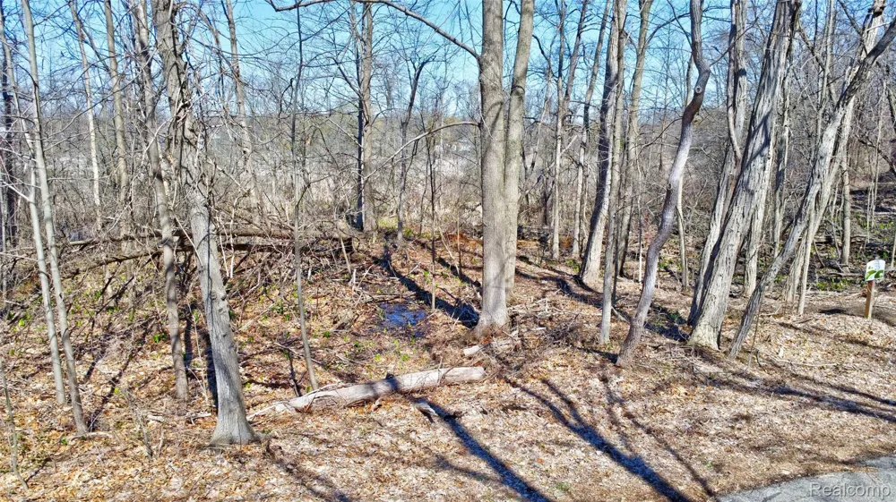 Steadfield Commerce Charter Township, MI 48382