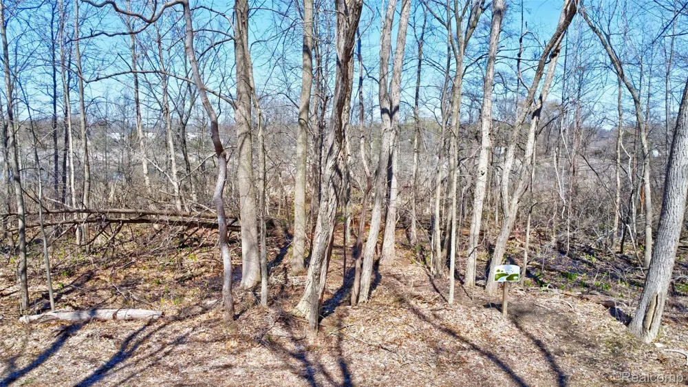 Steadfield Commerce Charter Township, MI 48382