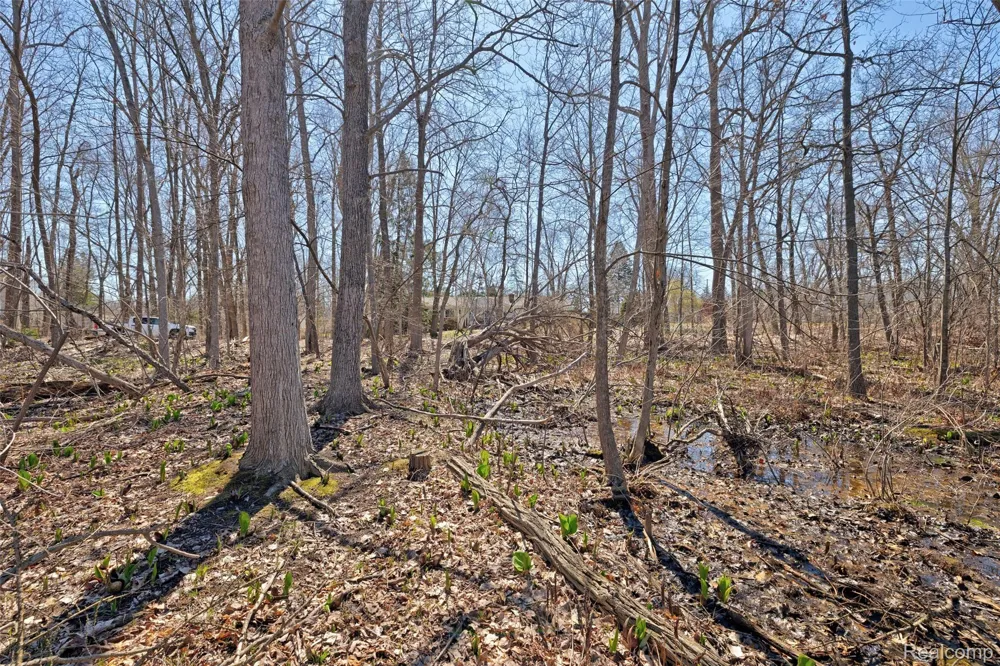 Steadfield Commerce Charter Township, MI 48382