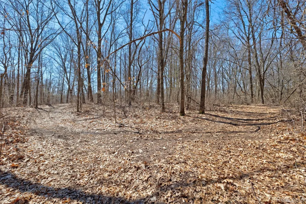 Steadfield Commerce Charter Township, MI 48382