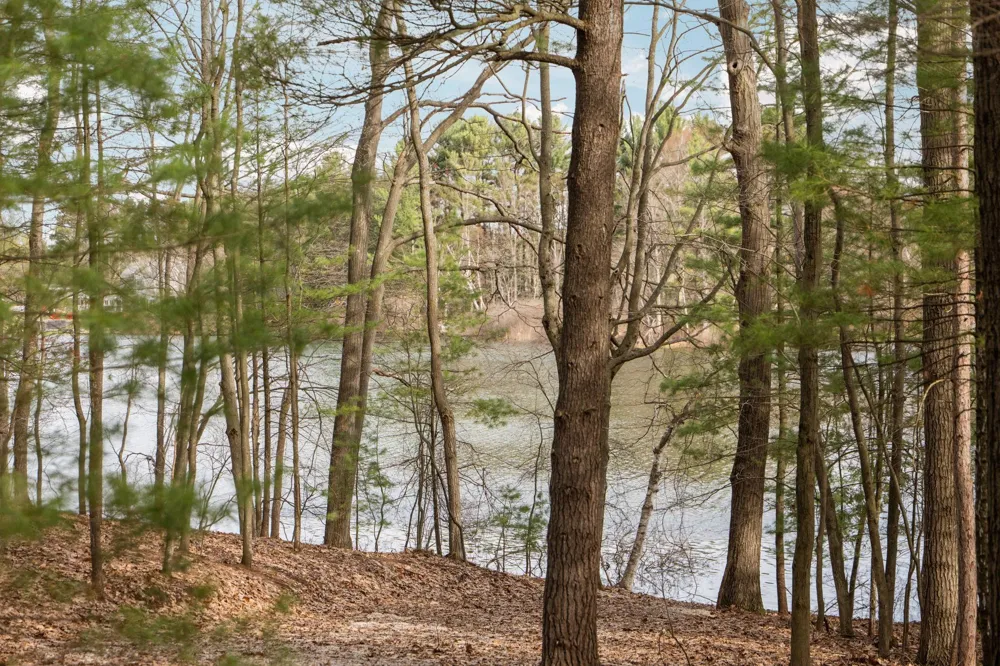 6802 Brandow Woods Long Lake Township, MI 49684
