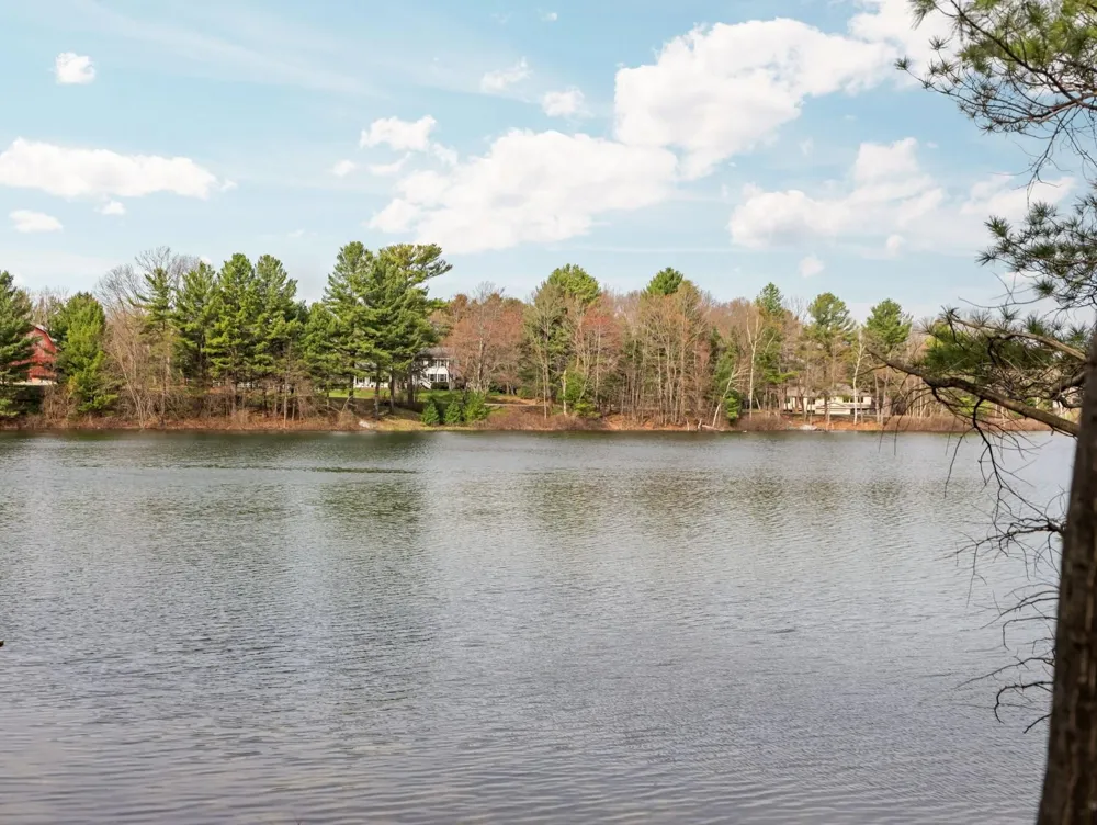 6802 Brandow Woods Long Lake Township, MI 49684