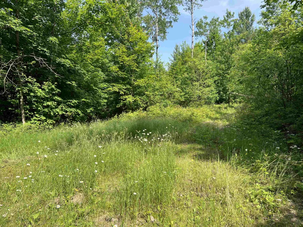 309 Oak Hill Road Garfield Township, MI 49633