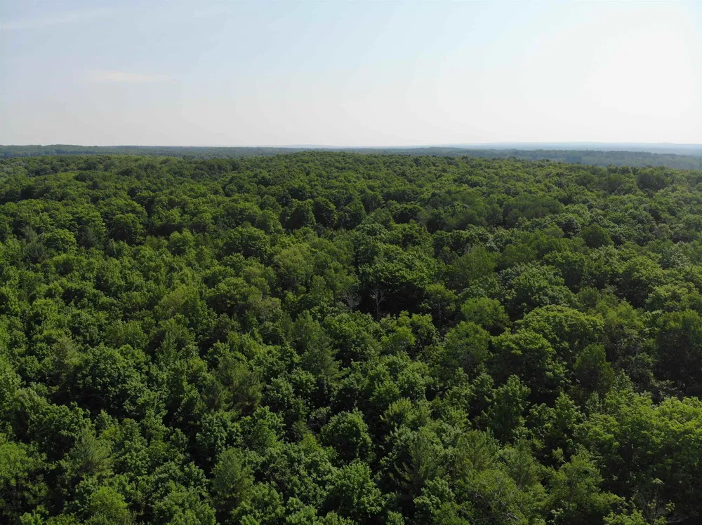 309 Oak Hill Road Garfield Township, MI 49633