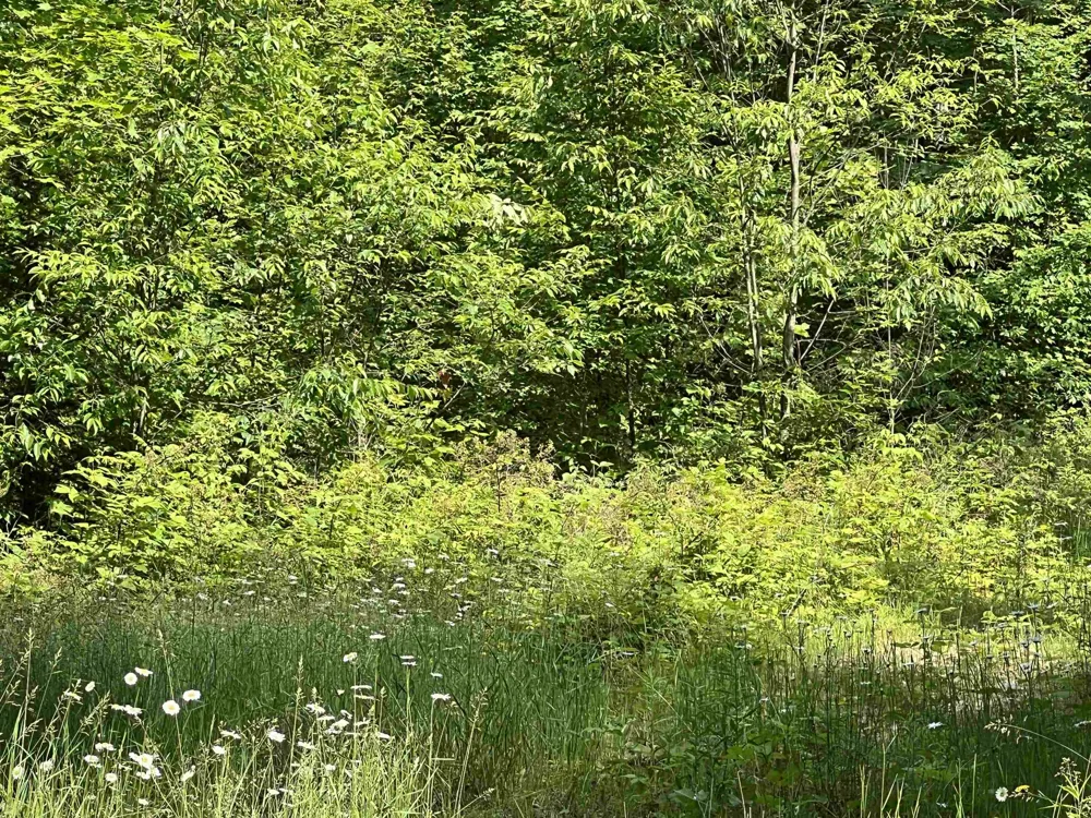 309 Oak Hill Road Garfield Township, MI 49633