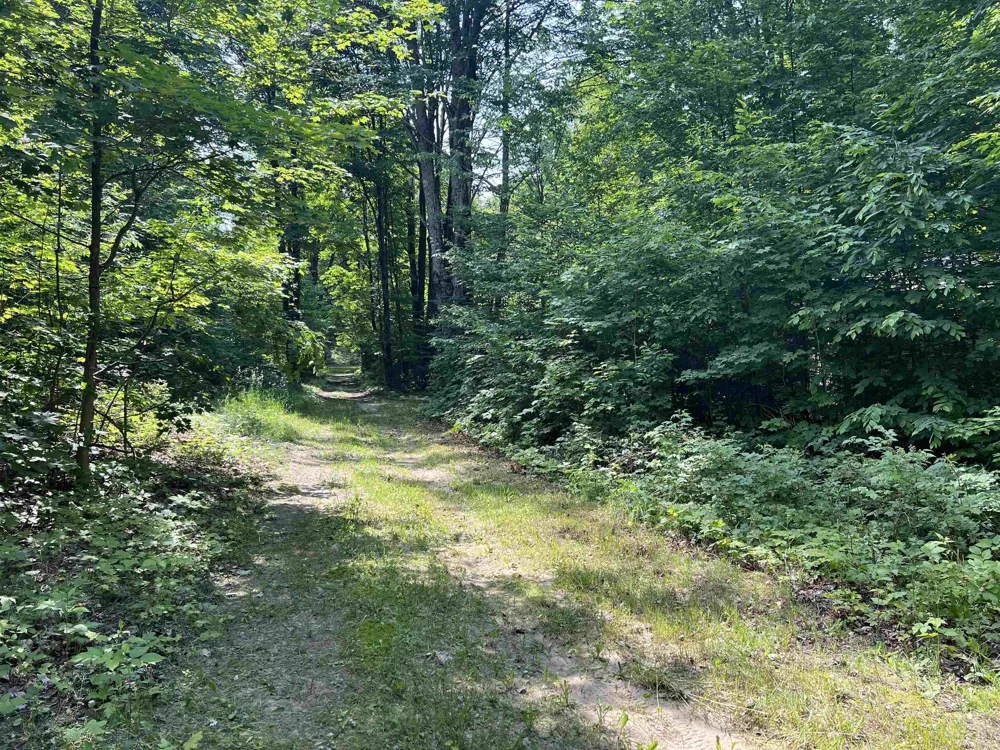 309 Oak Hill Road Garfield Township, MI 49633