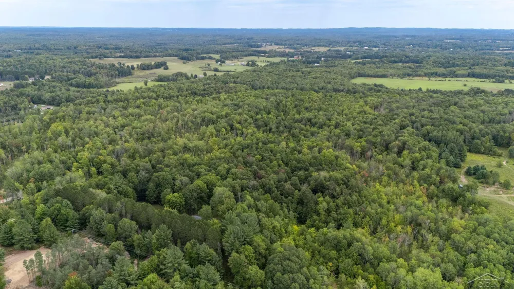 20686 Lakola Road Burdell Township, MI 49688
