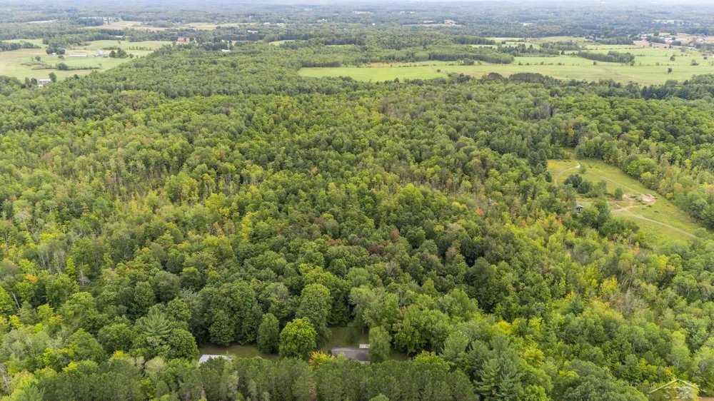 20686 Lakola Road Burdell Township, MI 49688