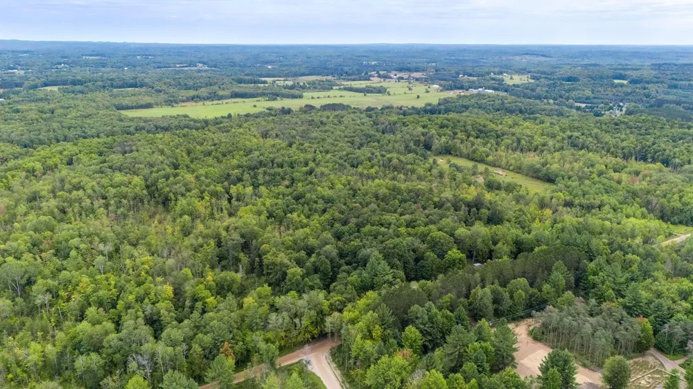 20686 Lakola Road Burdell Township, MI 49688