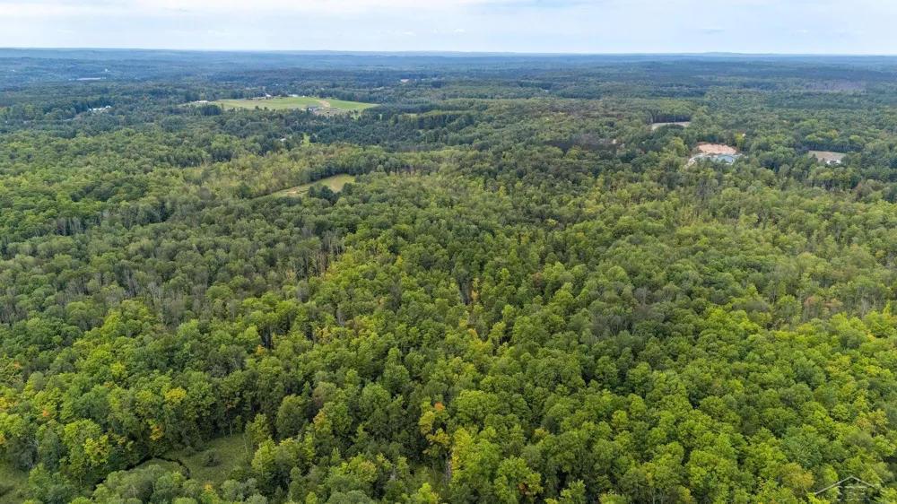 20686 Lakola Road Burdell Township, MI 49688