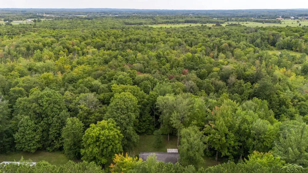 20686 Lakola Road Burdell Township, MI 49688