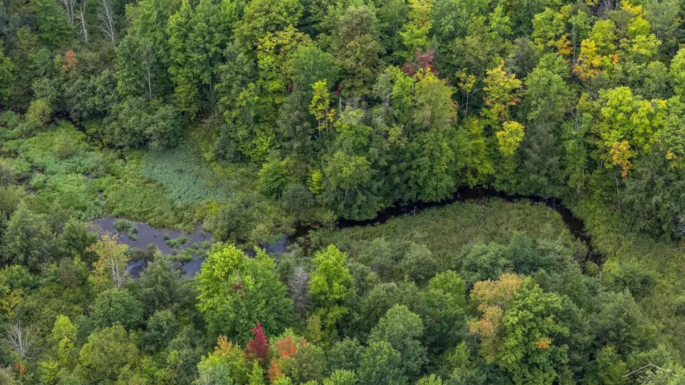 20686 Lakola Road Burdell Township, MI 49688