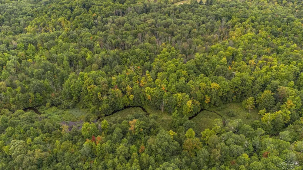 20686 Lakola Road Burdell Township, MI 49688