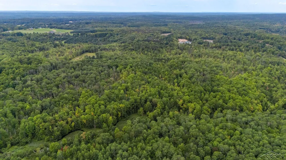 20686 Lakola Road Burdell Township, MI 49688