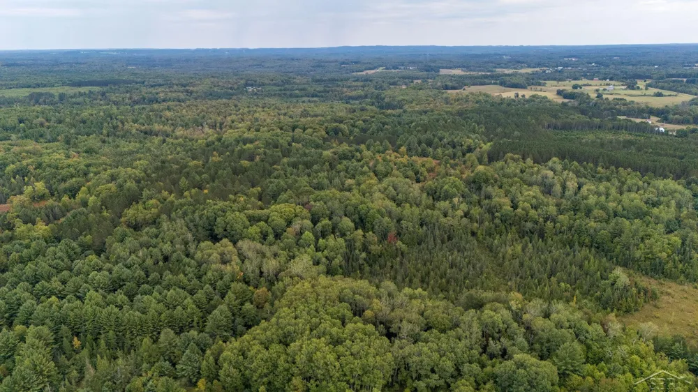 20686 Lakola Road Burdell Township, MI 49688