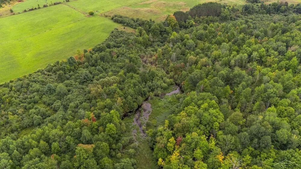 20686 Lakola Road Burdell Township, MI 49688