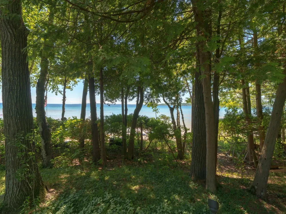 4152 Omena Point Road Leelanau Township, MI 49674
