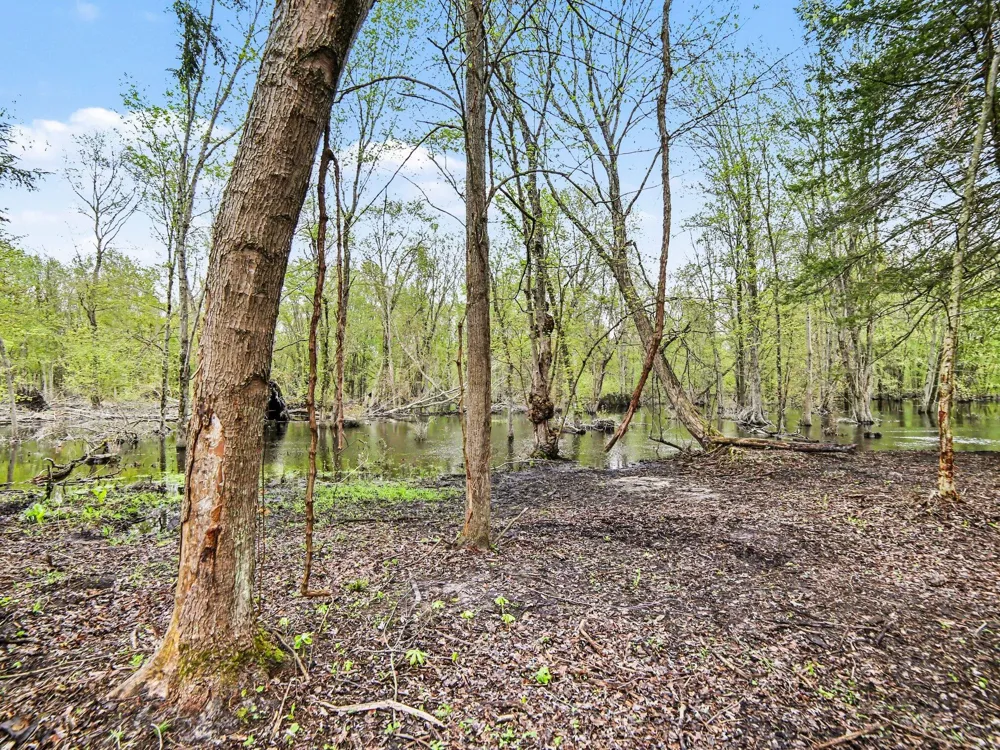 3233 Becker Road Muskegon Charter Township, MI 49445