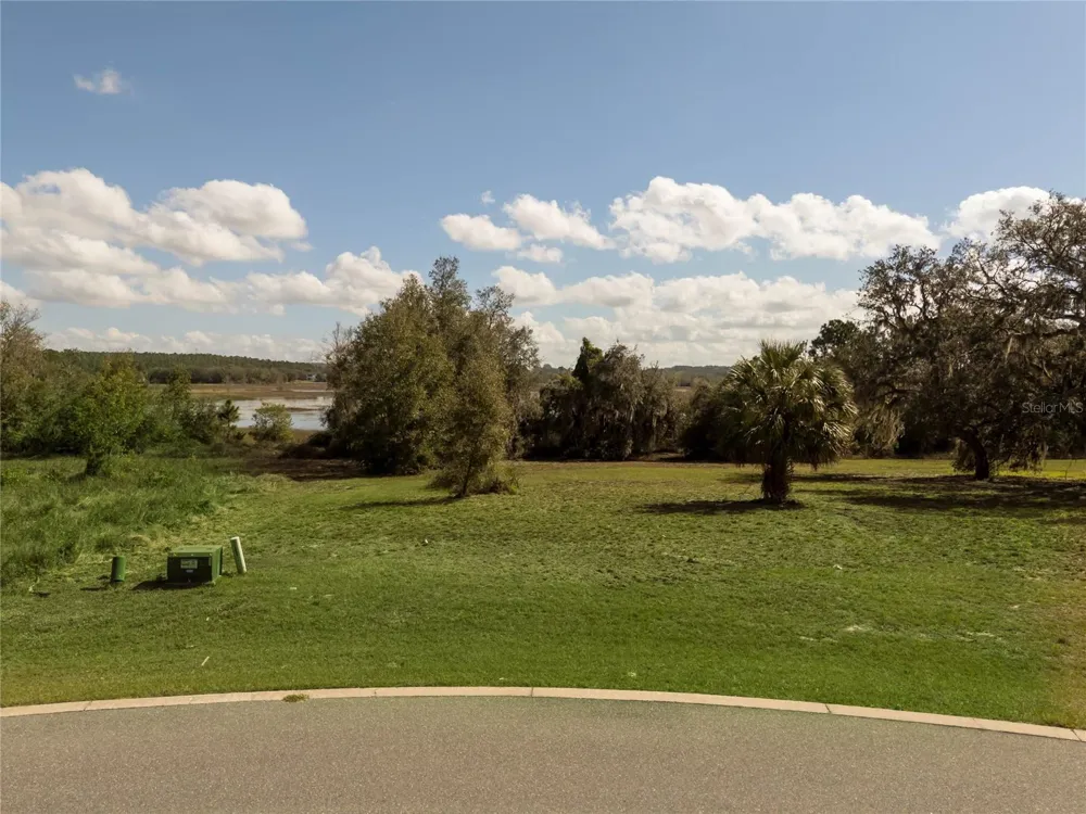476 LONG AND WINDING RD Howey In The Hills, FL 34737