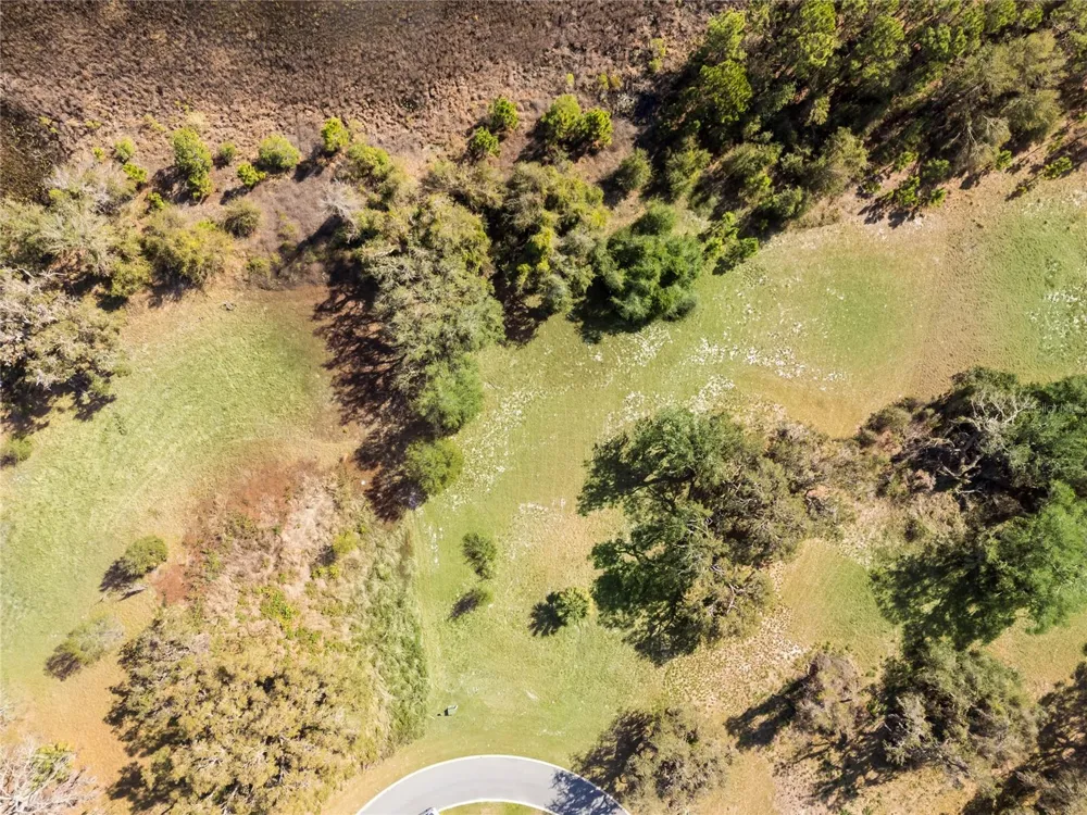 476 LONG AND WINDING RD Howey In The Hills, FL 34737