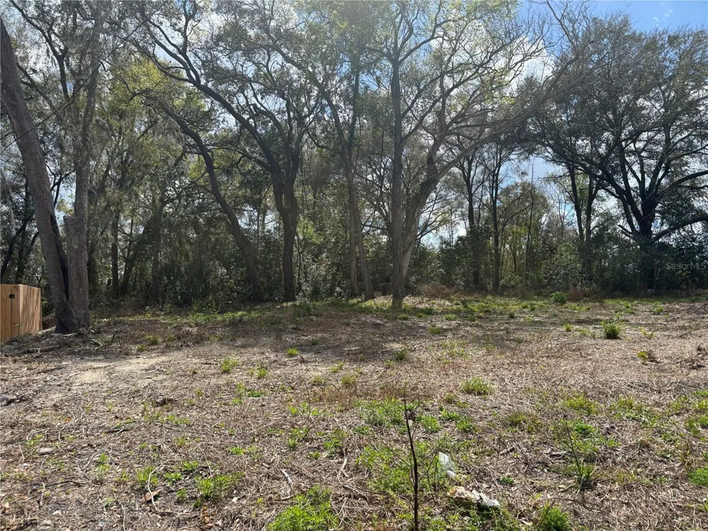 114 E CLEVELAND STREET Apopka, FL 32703