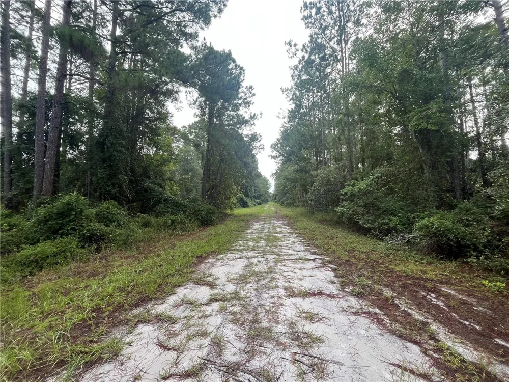 120 GARDENIA AVENUE Georgetown, FL 32139