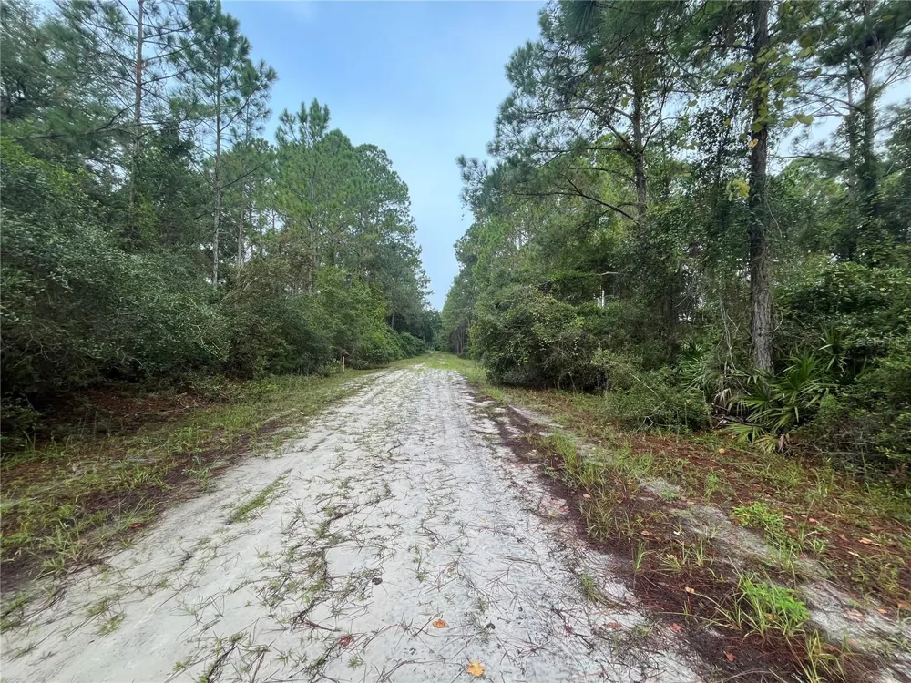 120 GARDENIA AVENUE Georgetown, FL 32139