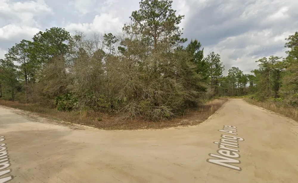 LOT 18 WALLACE STREET Interlachen, FL 32148
