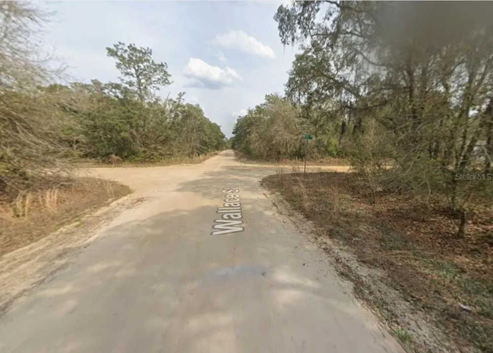 LOT 18 WALLACE STREET Interlachen, FL 32148