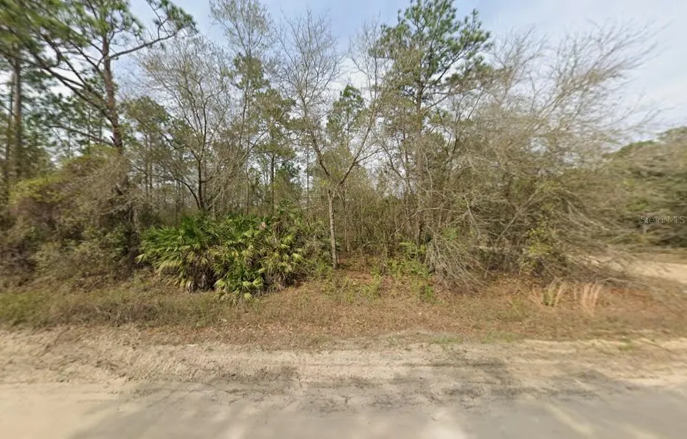 LOT 18 WALLACE STREET Interlachen, FL 32148