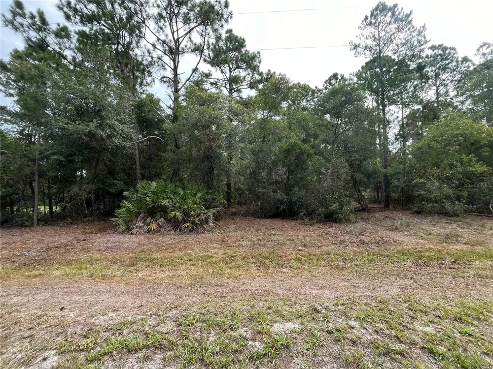 122 GLENSIDE STREET Georgetown, FL 32139