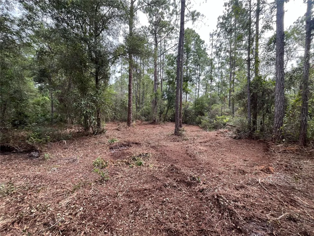 122 GLENSIDE STREET Georgetown, FL 32139