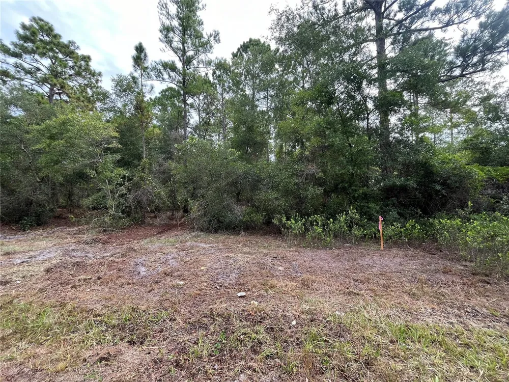 122 GLENSIDE STREET Georgetown, FL 32139