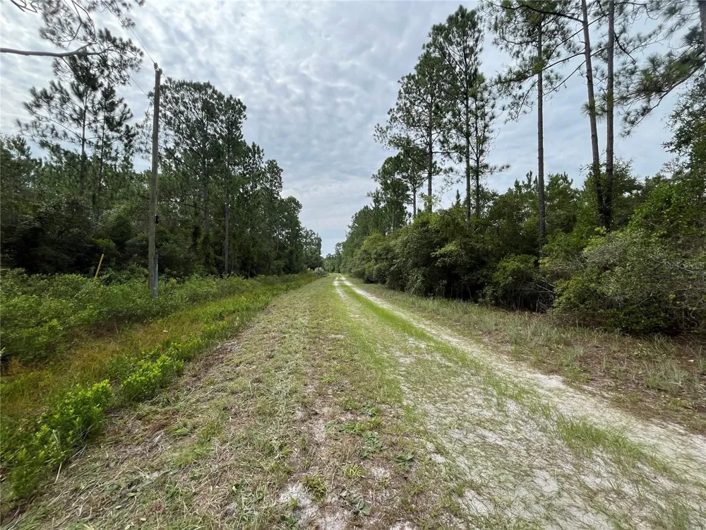 122 GLENSIDE STREET Georgetown, FL 32139
