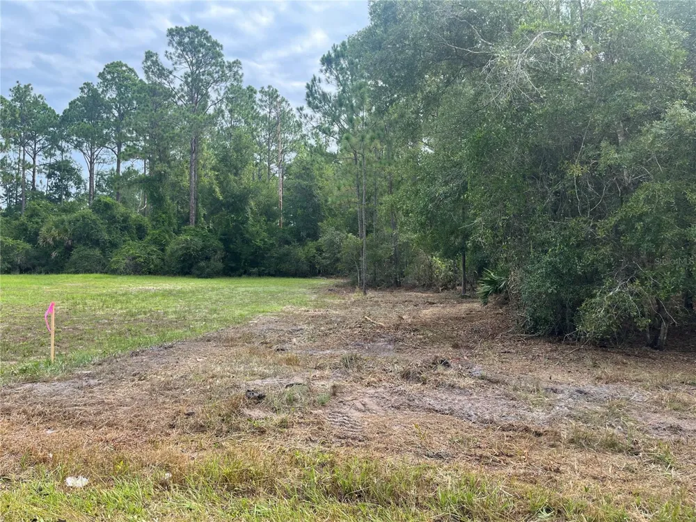 124 GLENSIDE STREET Georgetown, FL 32139